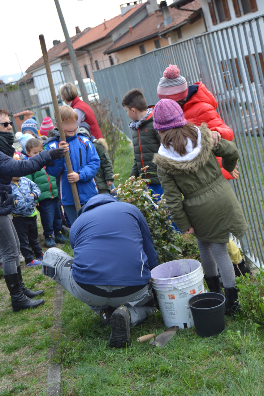 Una pianta per Libera